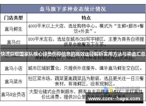 快速获取国家队核心球员伤停信息的高效途径解析实用方法与渠道汇总
