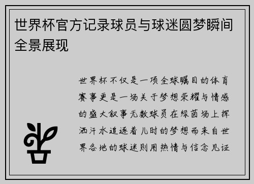 世界杯官方记录球员与球迷圆梦瞬间全景展现
